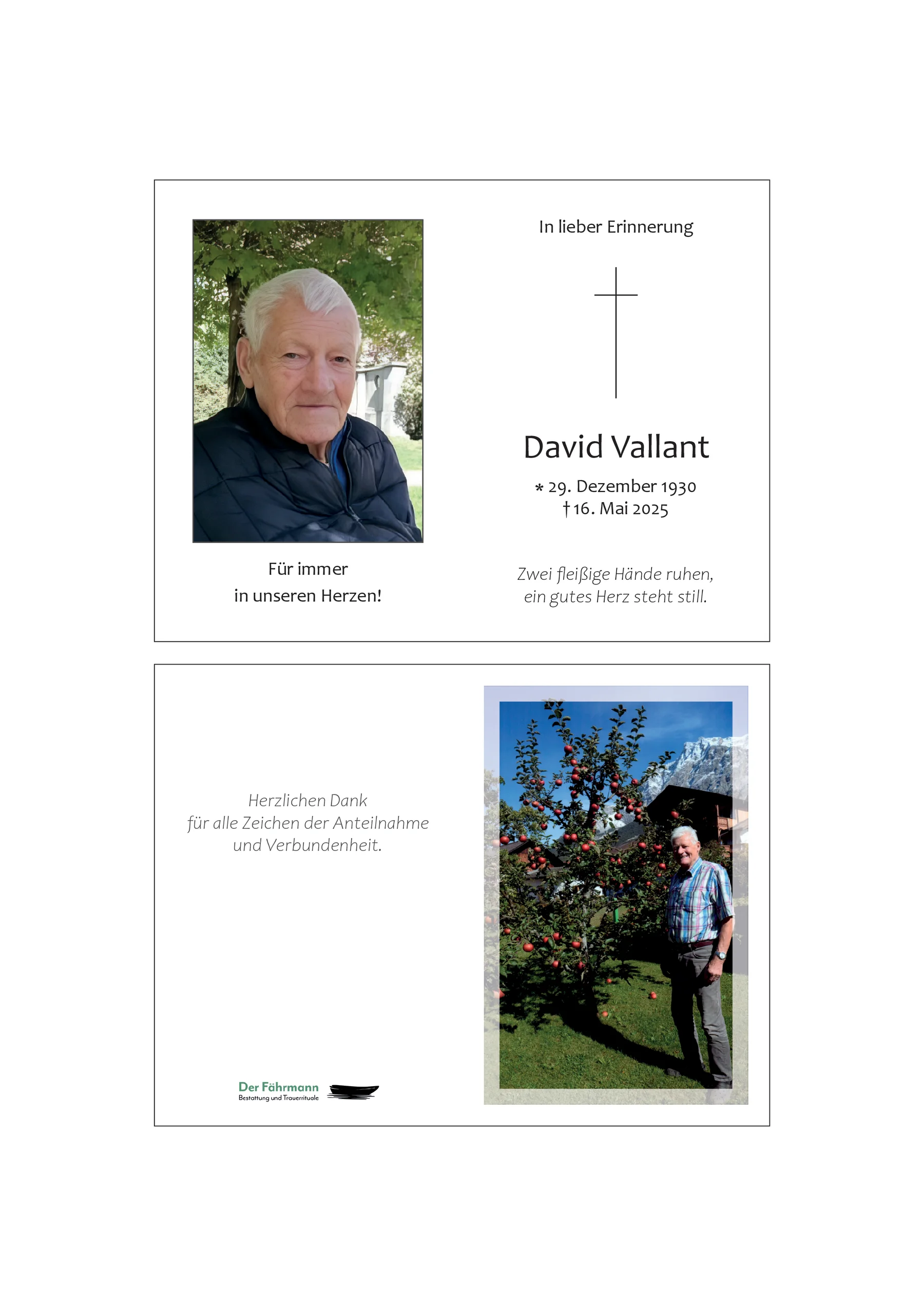 Sterbebild David Vallant