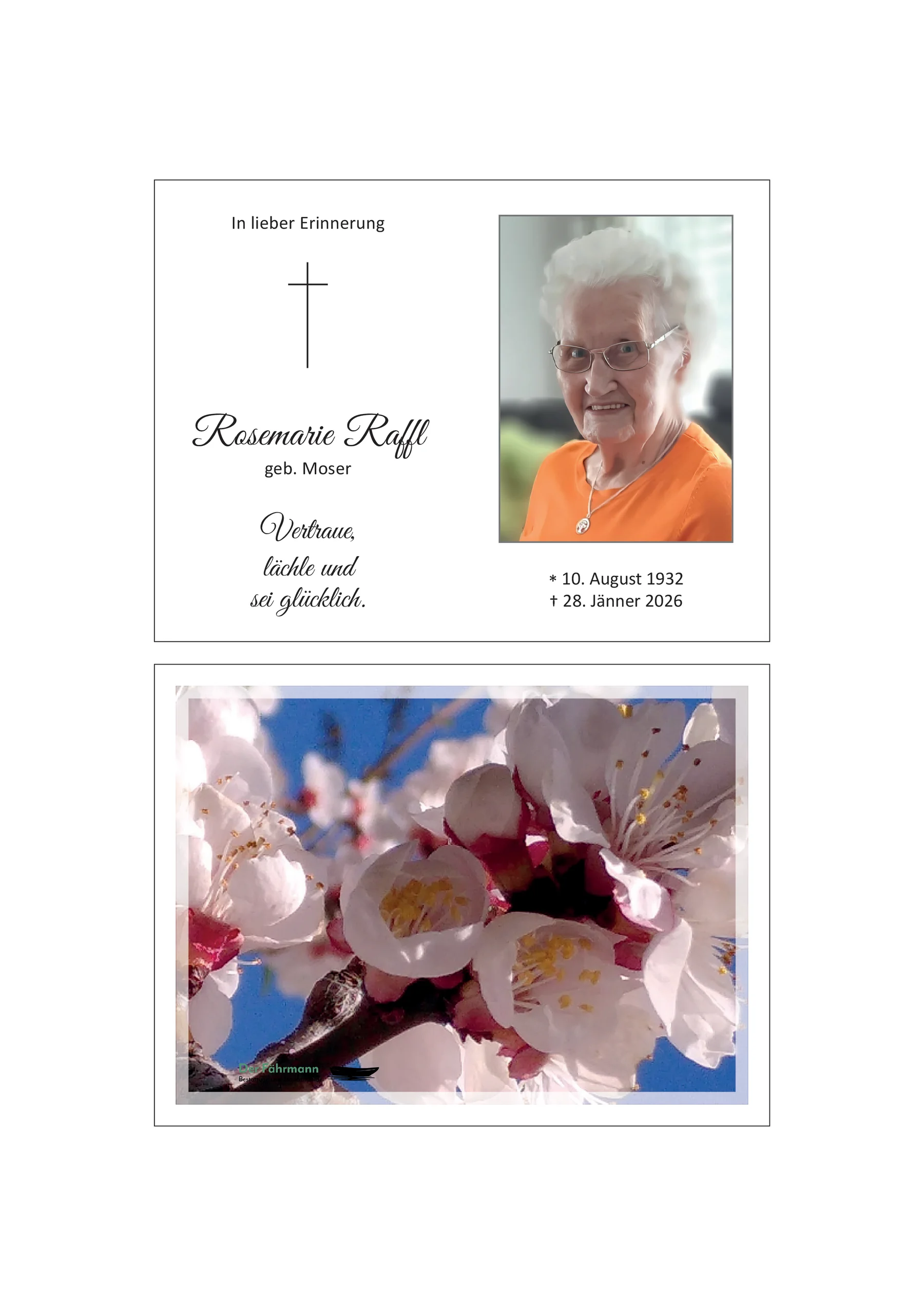 Sterbebild Rosemarie Raffl