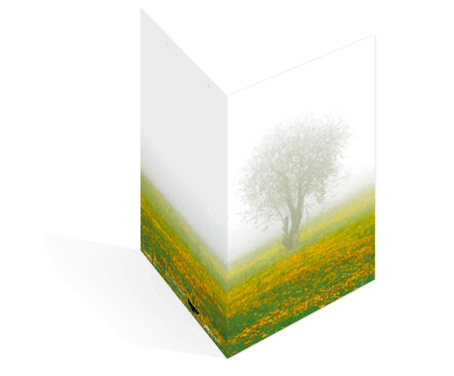 Sterbebildvorlage mit einer Löwenzahnwiese.