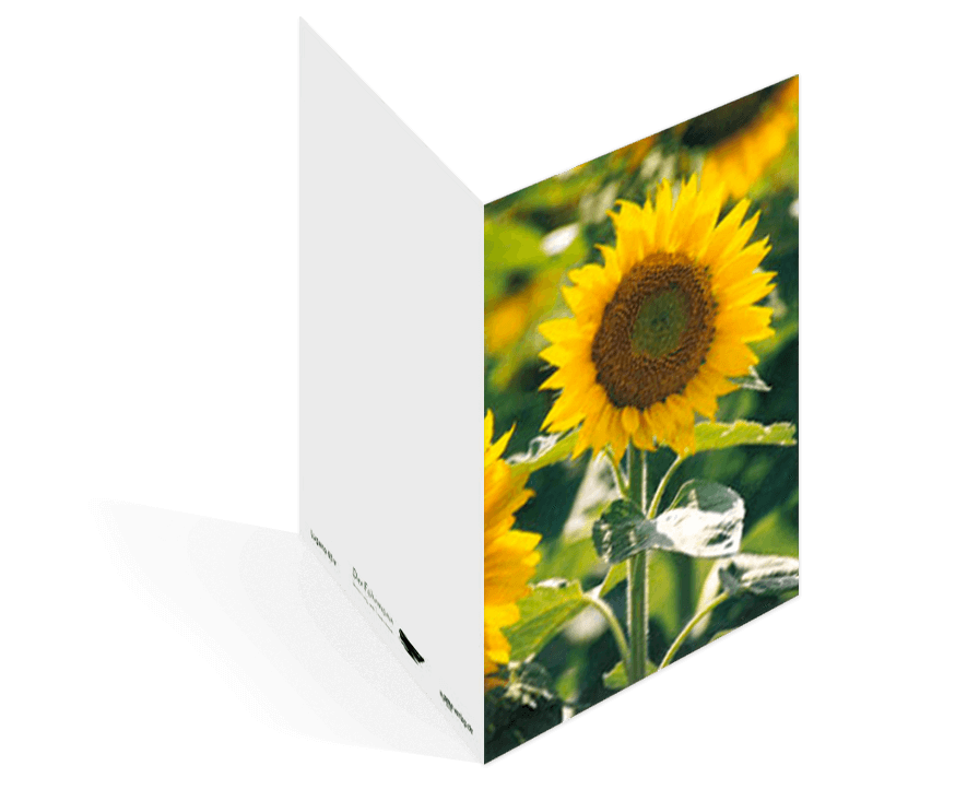 Sterbebildvorlage mit einer Sonnenblume.