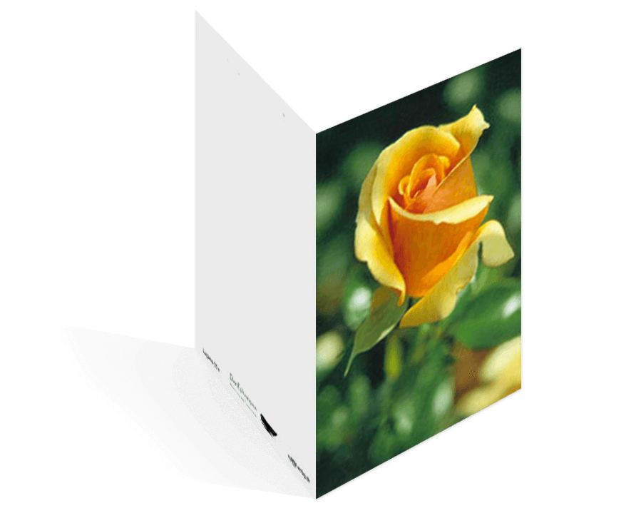 Sterbebildvorlage mit einer Nahaufnahme einer gelben Rose.