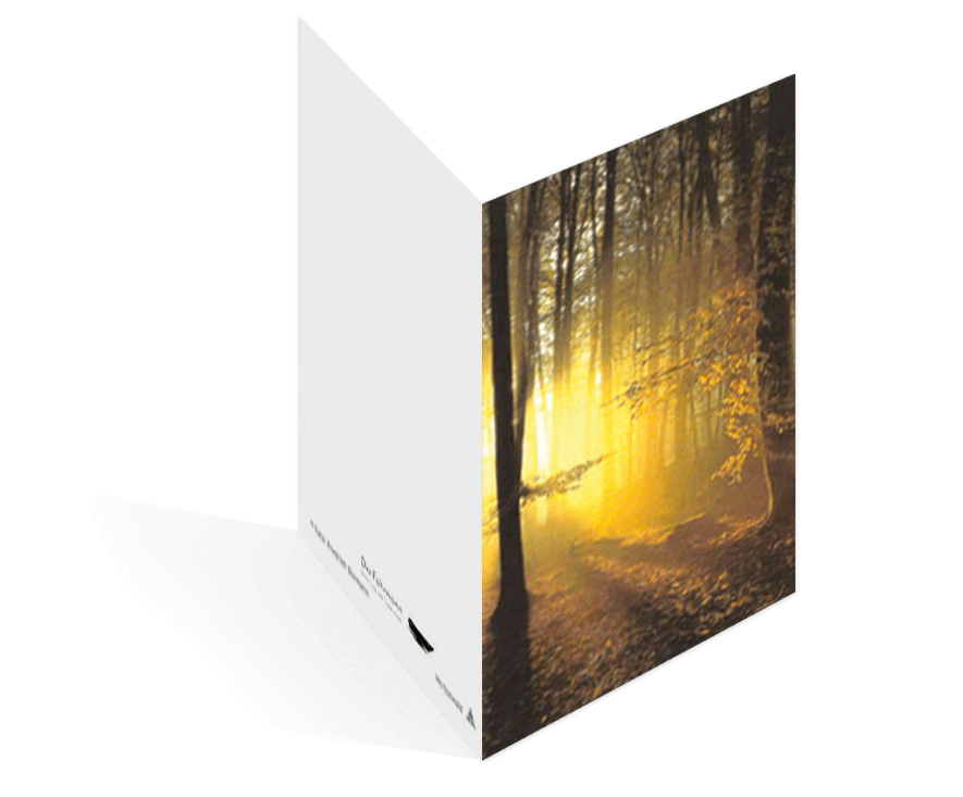 Sterbebildvorlage mit einem Herbstwald.